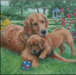 (image for) Patient Mom